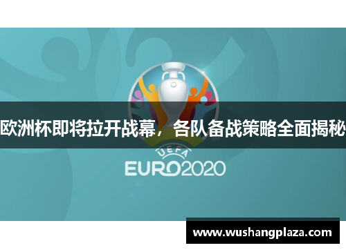 欧洲杯即将拉开战幕，各队备战策略全面揭秘