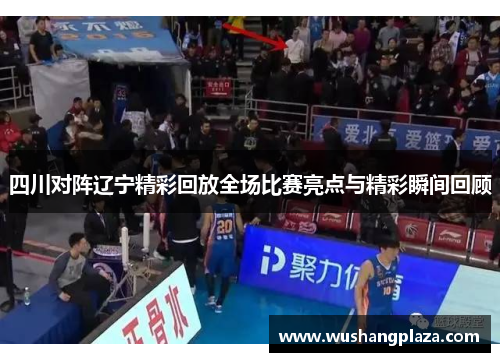 四川对阵辽宁精彩回放全场比赛亮点与精彩瞬间回顾