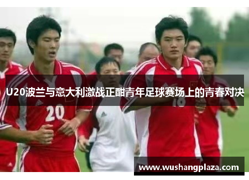 U20波兰与意大利激战正酣青年足球赛场上的青春对决