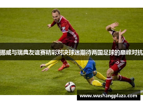 挪威与瑞典友谊赛精彩对决球迷期待两国足球的巅峰对抗