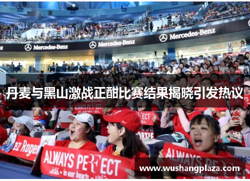 丹麦与黑山激战正酣比赛结果揭晓引发热议