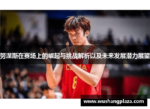 努涅斯在赛场上的崛起与挑战解析以及未来发展潜力展望