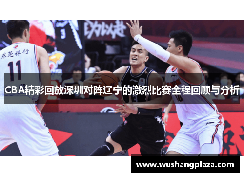 CBA精彩回放深圳对阵辽宁的激烈比赛全程回顾与分析